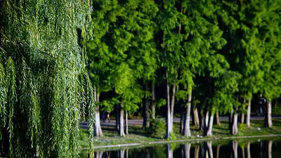 10 najpiękniejszych parków w Gdańsku – przewodnik 2025