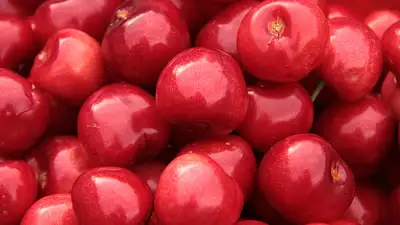 Bakalie – zdrowa przekąska pełna wartości odżywczych