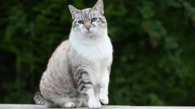 Jak wybrać idealną tapetę do wnętrza – poradnik 2025