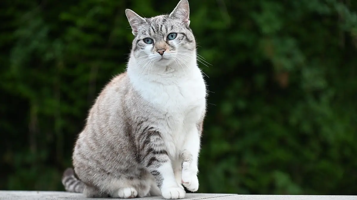 Jak wybrać idealną tapetę do wnętrza – poradnik 2025