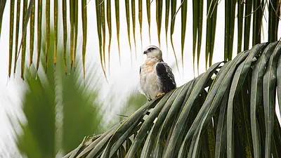 Szkoły kitesurfingu zimą – przygotowania i szkolenia off-sea
