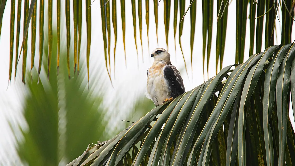 Szkoły kitesurfingu zimą – przygotowania i szkolenia off-sea