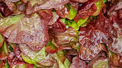 Zdrowe odżywianie pracowników – klucz do efektywności w prac