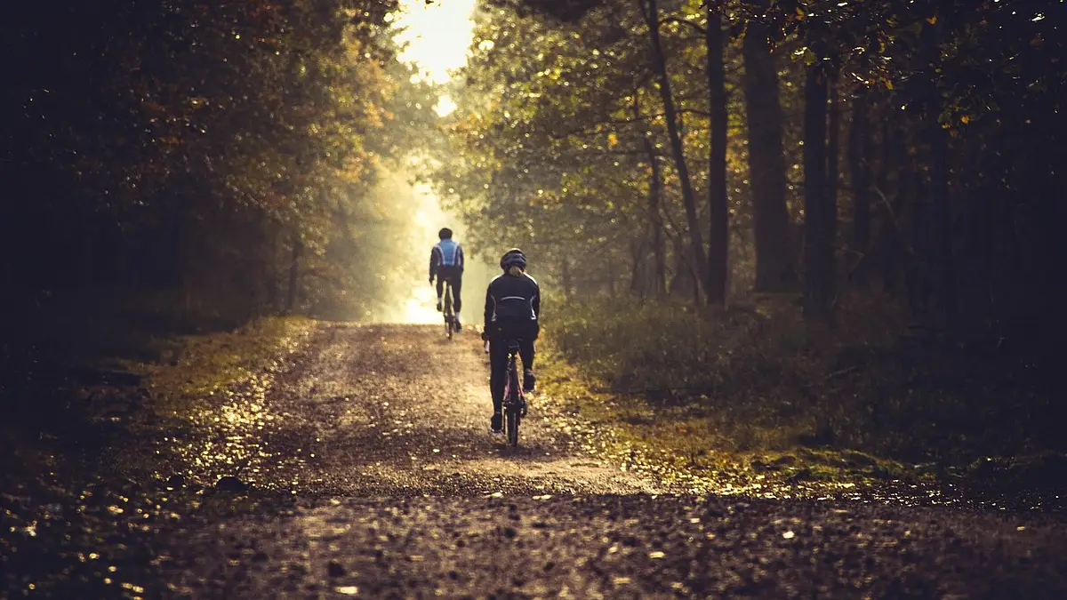 Bagażnik rowerowy: wybierz najlepszy na klapę, dach lub hak