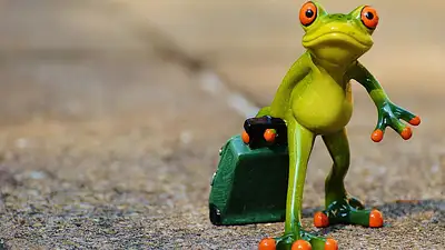 Walizka ABS czy materiałowa? Porównanie i wybór 2025