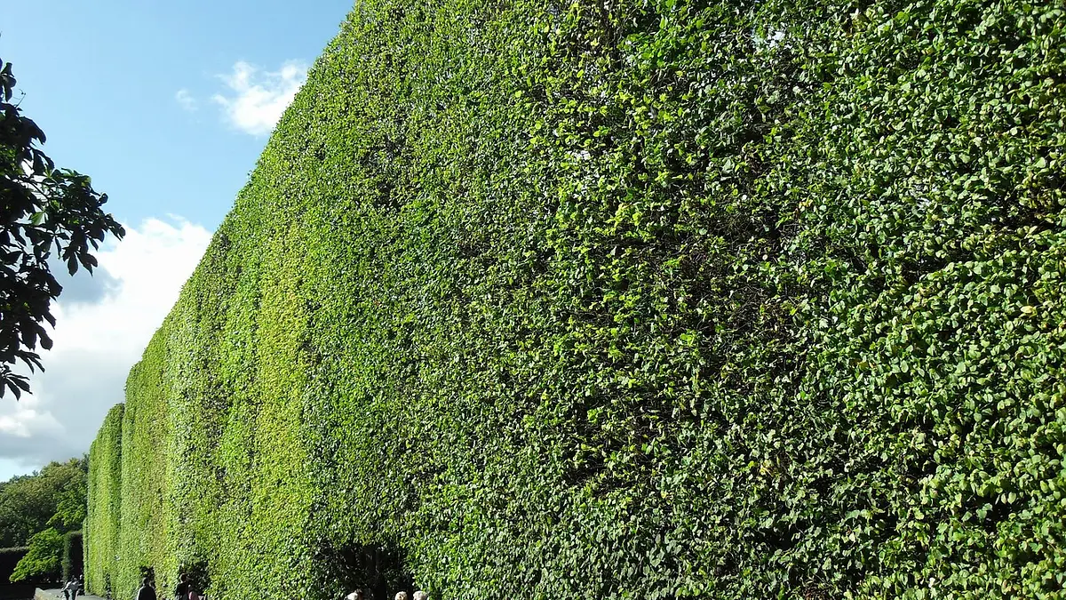 Ogród w Oliwie Gdańsk – Park Oliwski i jego atrakcje