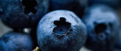 Korzyści z jedzenia borówki amerykańskiej - zaskakujące fakt