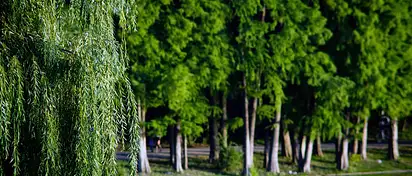 10 najpiękniejszych parków w Gdańsku, które musisz odwiedzić