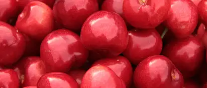 Czy bakalie to zdrowa przekąska? Poznaj prawdę!