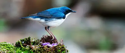 Pióro z grawerem - idealny prezent na każdą okazję