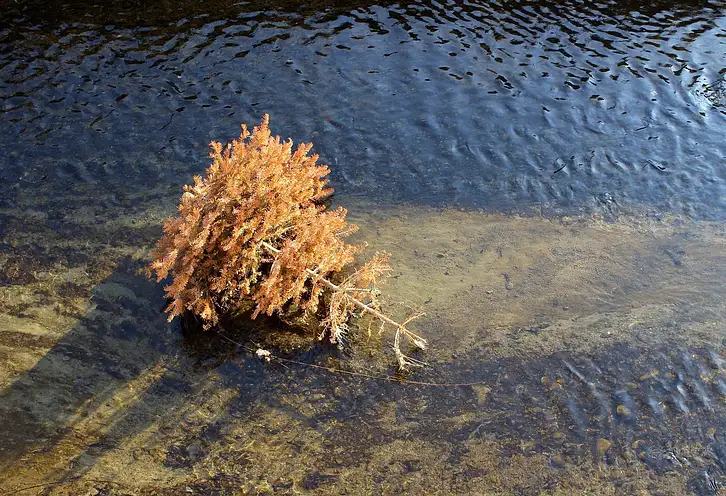 Poświąteczne odpady: jak segregować i recyklingować
