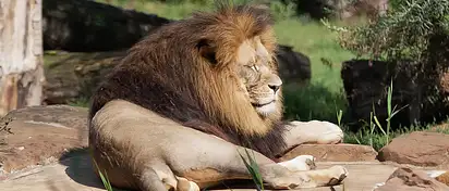 Gdański Ogród Zoologiczny