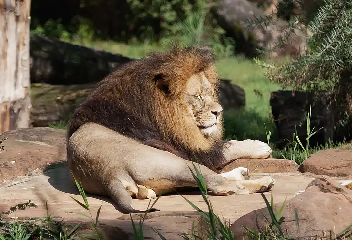 Gdański Ogród Zoologiczny