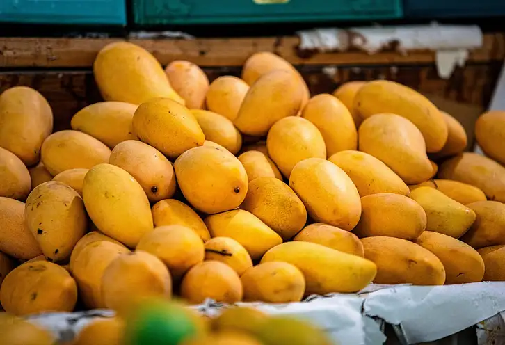 CBD cartridge Mango Kush - relaks z mango