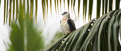 Co szkoły kitesurfingu robią zimą? Porady i fakty