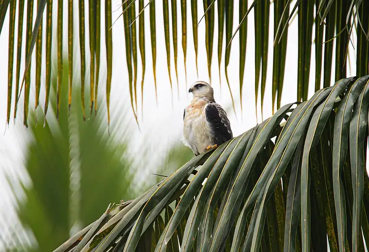 Co szkoły kitesurfingu robią zimą? Porady i fakty