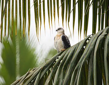 Co szkoły kitesurfingu robią zimą? Porady i fakty