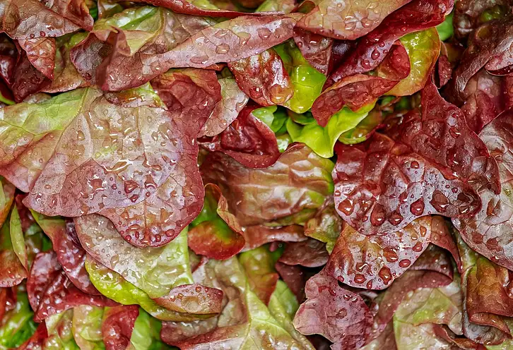 Zdrowe odżywianie pracowników: klucz do sukcesu