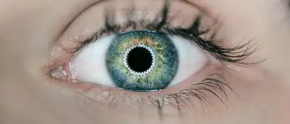 Jak często chodzić do okulisty?