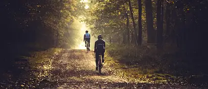 Bagażnik rowerowy na klapę, dach czy hak?