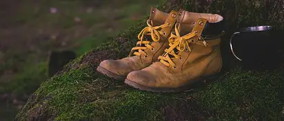 Zakup samochodu używanego: Program Toyota Plus