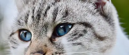 Meble kuchenne na wymiar - jakie wybrać?