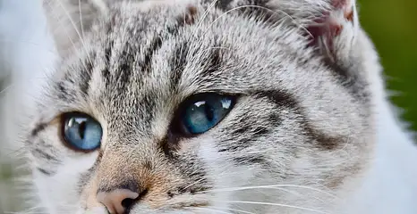 Meble kuchenne na wymiar - jakie wybrać?