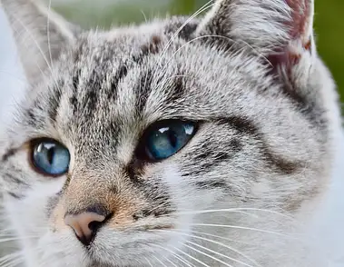 Meble kuchenne na wymiar - jakie wybrać?