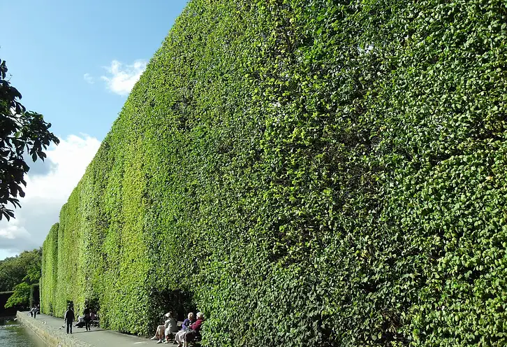 Ogród w Oliwie Gdańsk – Park Oliwski Atrakcje