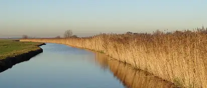 Rezerwat przyrody Ptasi Raj 