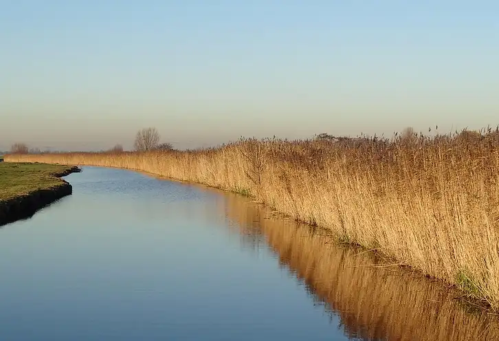 Rezerwat przyrody Ptasi Raj 